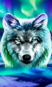 Wolf Fang - Northern Spirits